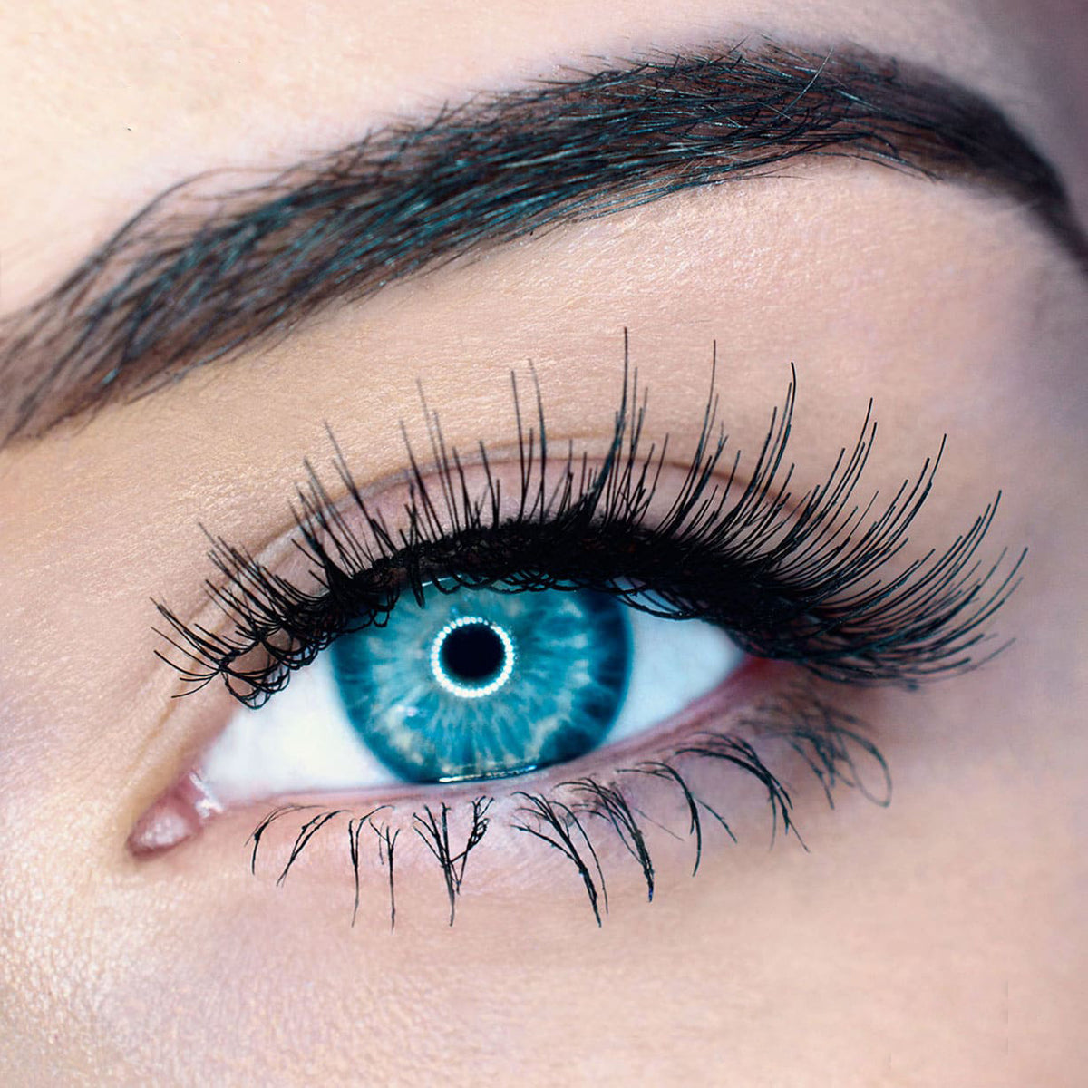 i woke up this way - Universal 2 or 3 Magnets – Lash'd Up